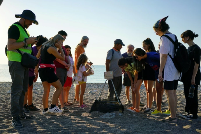 Group of people observing something on a beach.